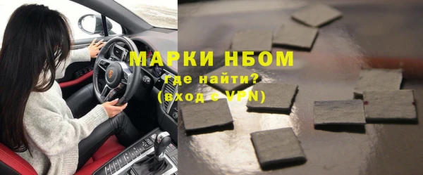 дмт Болотное