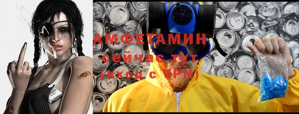 гашик Переславль-Залесский